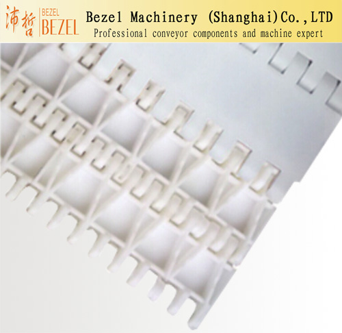 BZ-W100-PB直行網(wǎng)帶